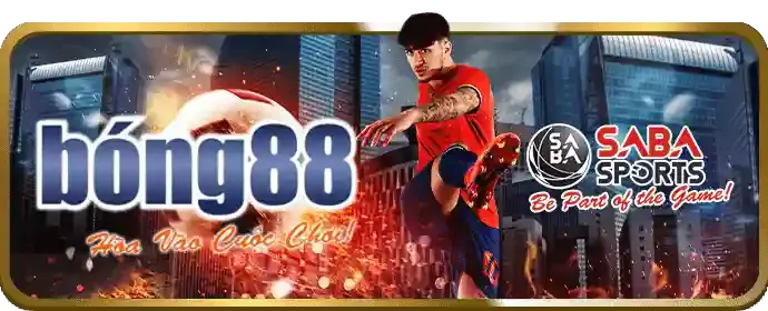 Chính sách chơi có trách nhiệm